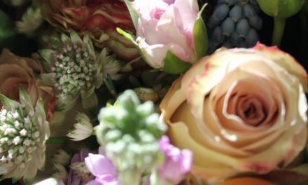 Indie Of The Month: Flowers By Sophie Millington