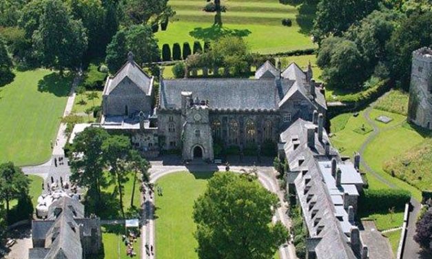 Free Business Festival at Dartington Hall