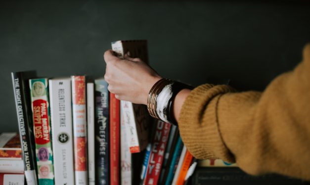 The Bookshelf February 2019 Edition