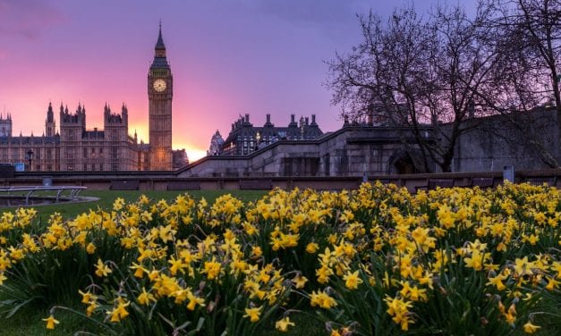 Revoke Article 50 Petition Signatures Soar