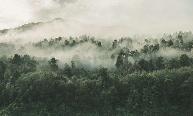 Community Knowledge Can Be as Valuable as Ecological Knowledge in Environmental Decision-making