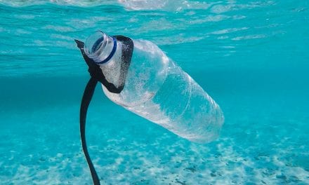 Plastics Research Team Win Queen’s Anniversary Prize