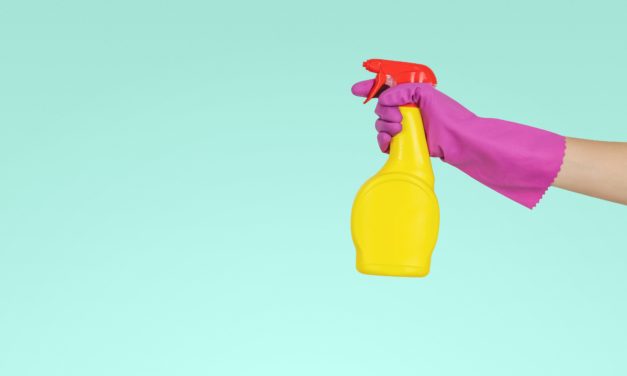 Female-led start-up, Pleasant State, set to eliminate single-use plastics from the typical household cleaning routine.