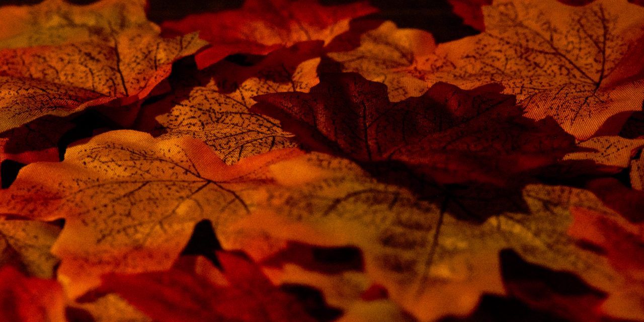 A Cosy Autumn at Home