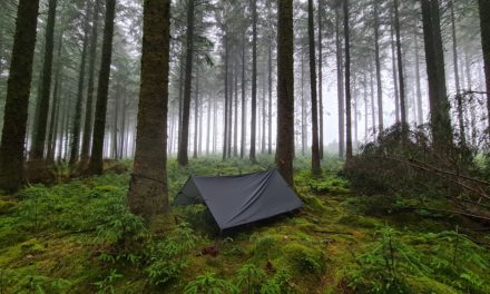 Under the Stars – Wild Camping in Devon