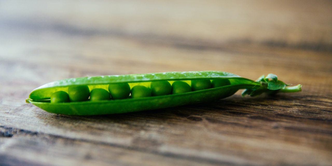 Home Grown