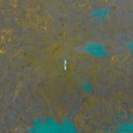 ELIMINATE OIL WASTE AND SAVE OUR ENVIRONMENT